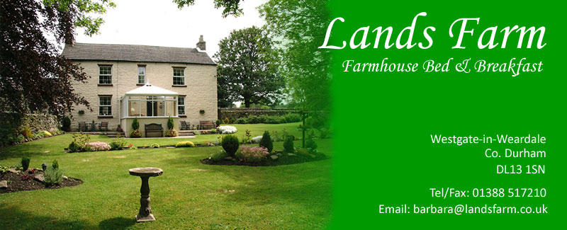 Lands Farm Bed and Breakfast